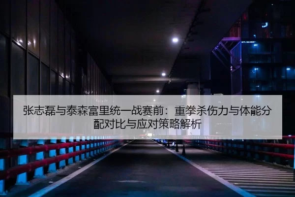 张志磊与泰森富里统一战赛前：重拳杀伤力与体能分配对比与应对策略解析
