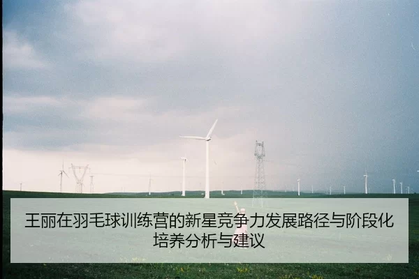 王丽在羽毛球训练营的新星竞争力发展路径与阶段化培养分析与建议