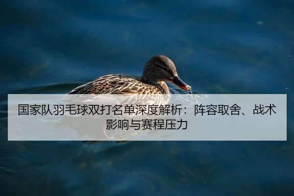 国家队羽毛球双打名单深度解析：阵容取舍、战术影响与赛程压力